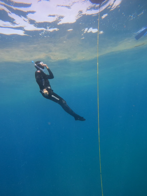 Introduction to Freediving in Lanzarote, photo 3