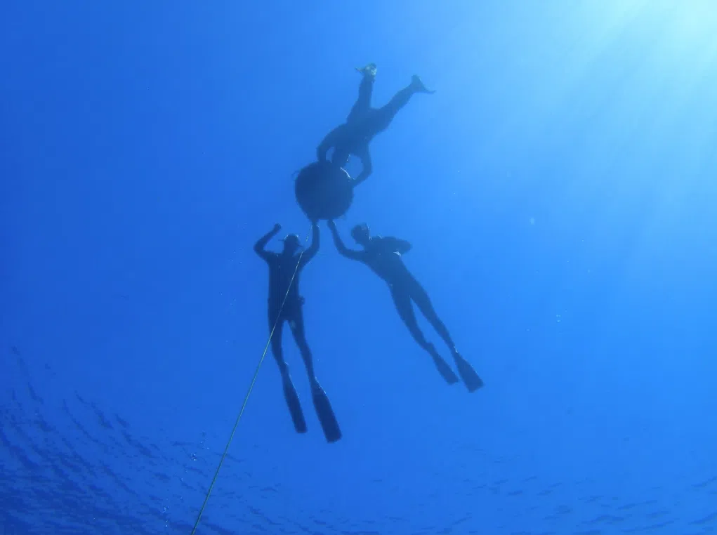Introduction to Freediving in Lanzarote, photo 2