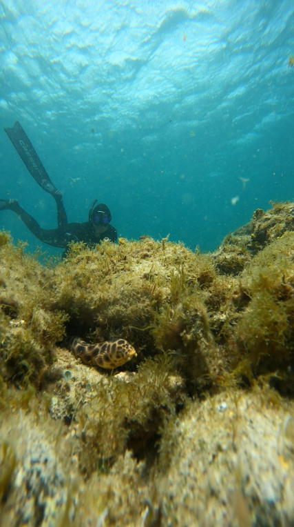 Reef Exploration Session in Lanzarote gallery 2