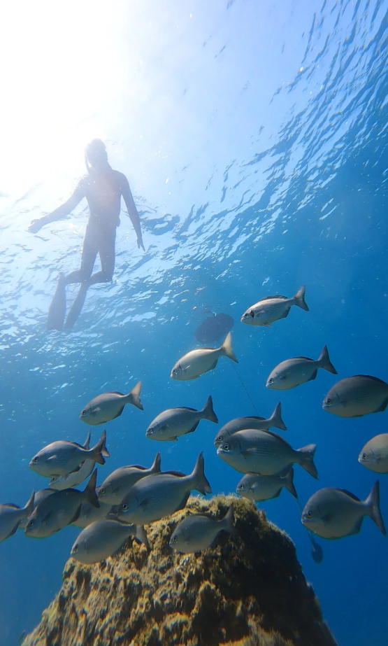 Snorkeling Experience in Lanzarote, photo 3