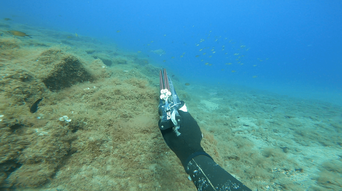 Spearfishing Session in Lanzarote gallery 3