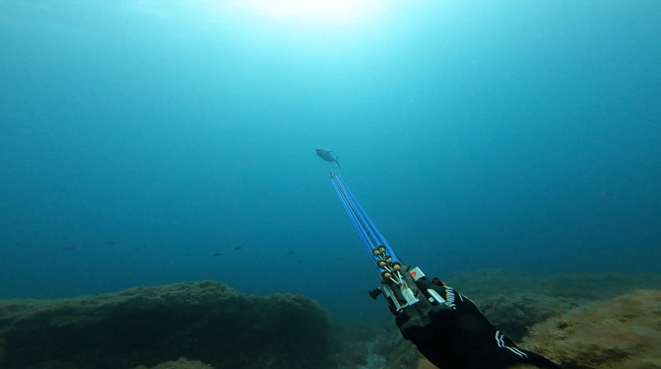 Spearfishing Session in Lanzarote gallery 4