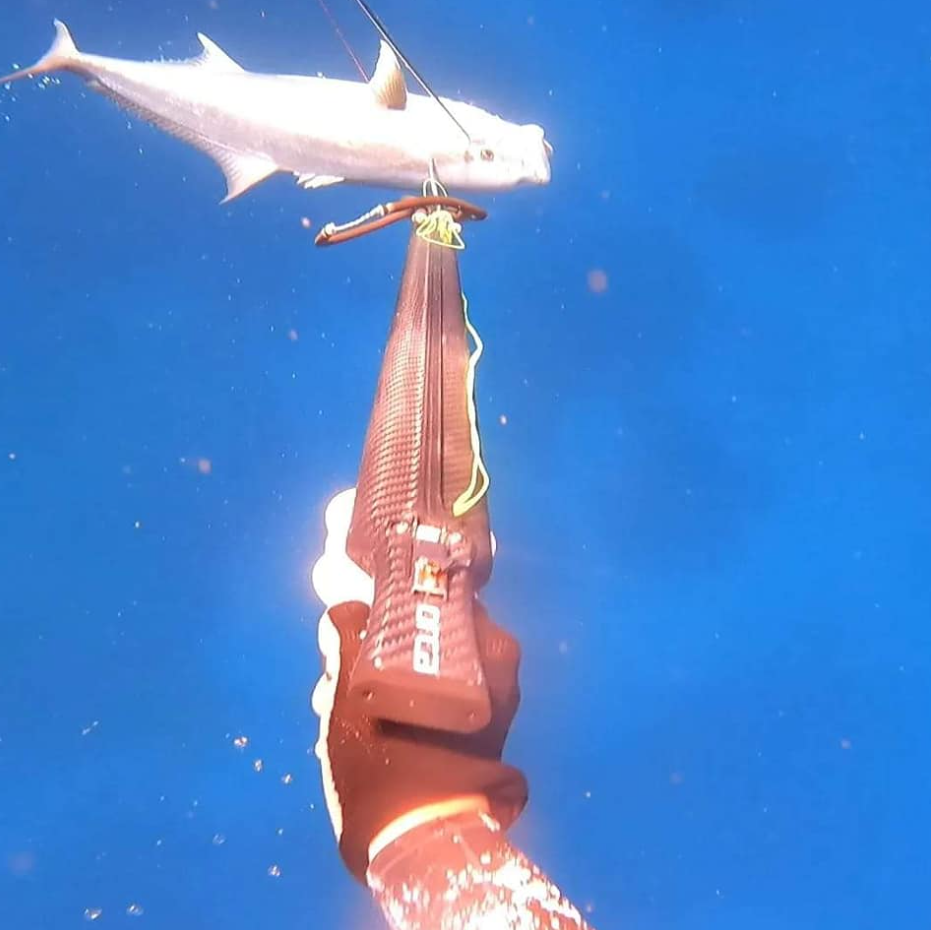 Spearfishing Session in Lanzarote, photo 3
