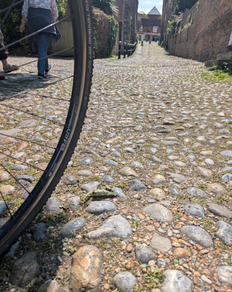 Gravel Bike Riding Sessions in London gallery 6