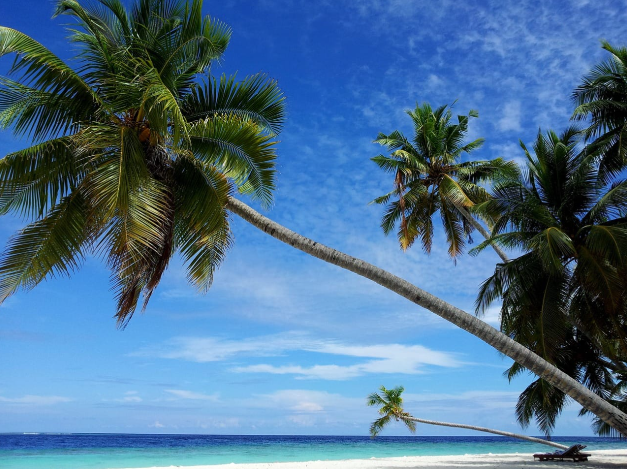 11-Day Desert Island Survival Adventure in the Maldives gallery 13