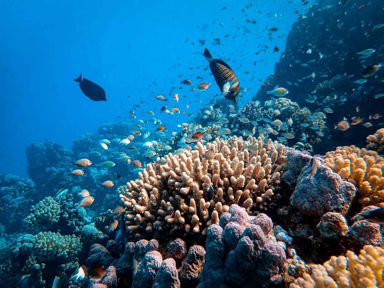 11-Day Desert Island Survival Adventure in the Maldives, photo 5