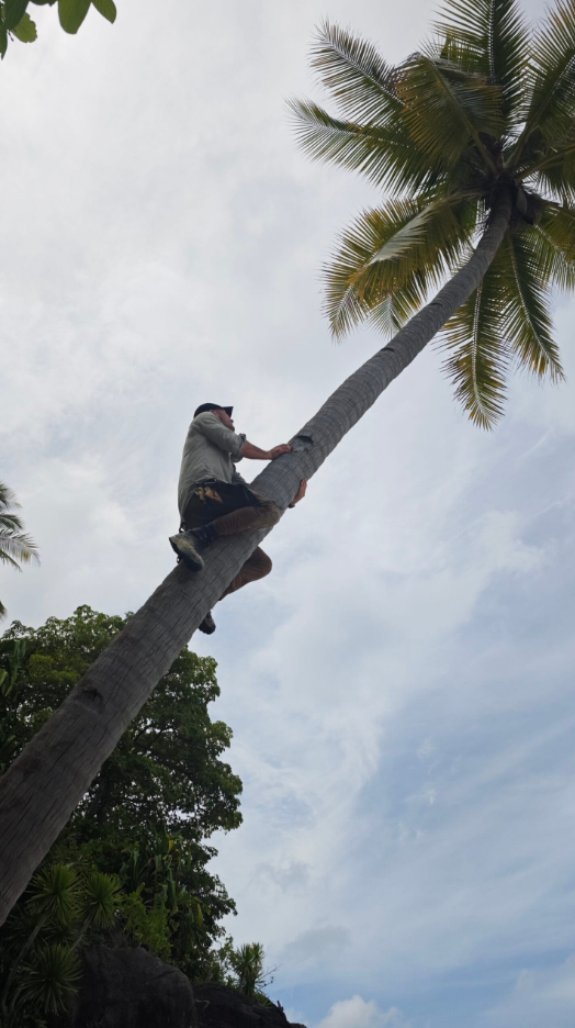 11-Day Desert Island Survival Adventure in the Maldives gallery 11