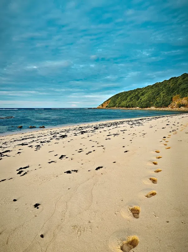 11-Day Desert Island Survival Adventure in Panama gallery 7