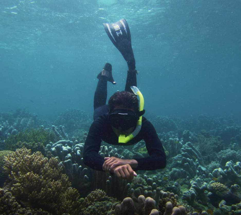 Snorkelling Adventure in North Sulawesi, Indonesia, photo 3