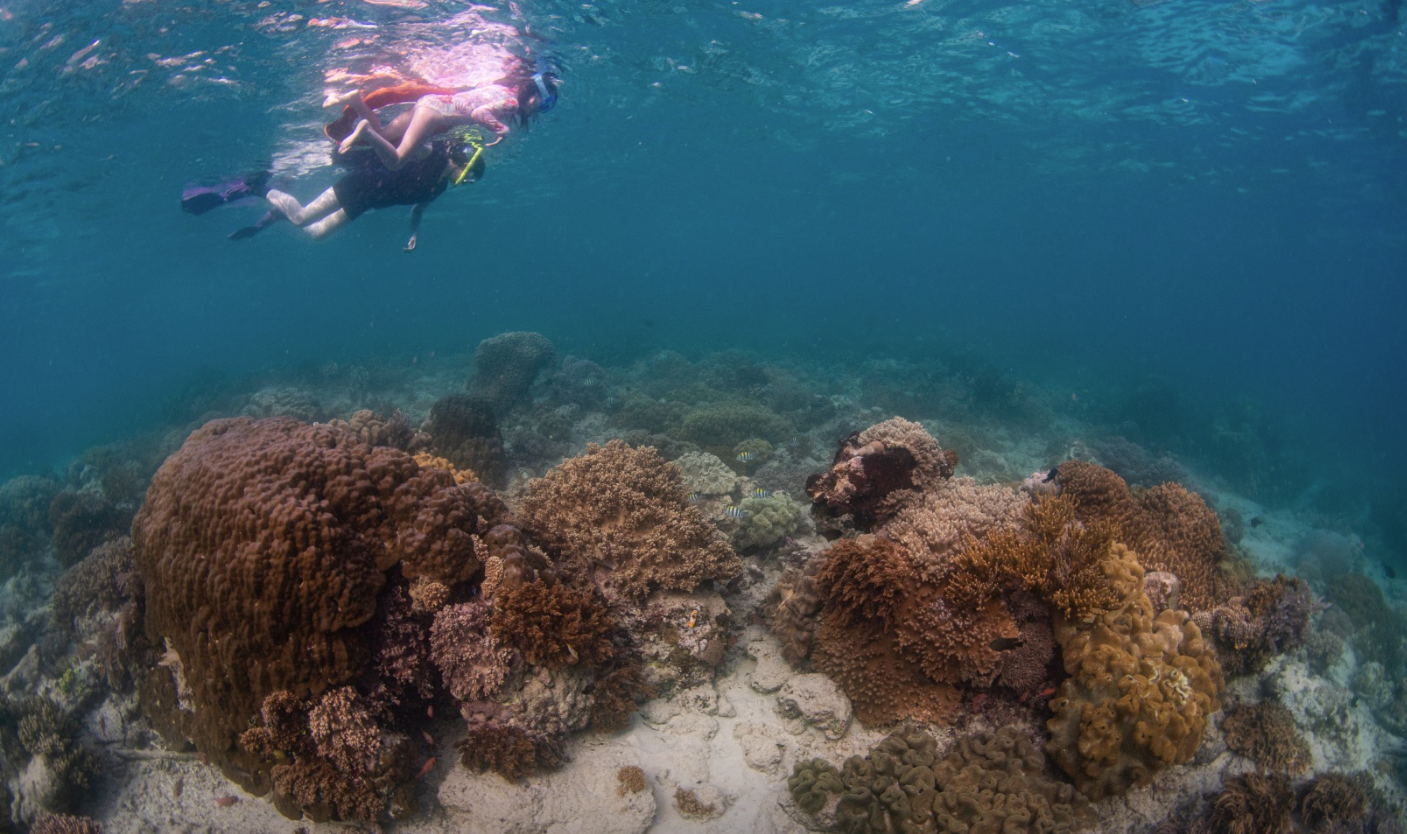 Snorkelling Adventure in North Sulawesi, Indonesia gallery 4