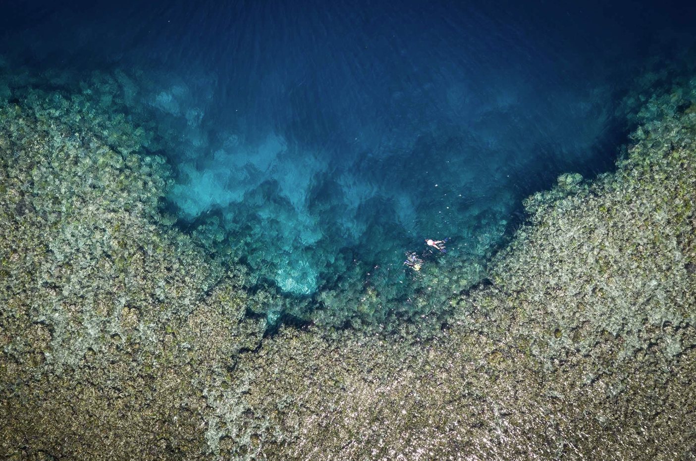 Snorkelling Adventure in North Sulawesi, Indonesia gallery 6