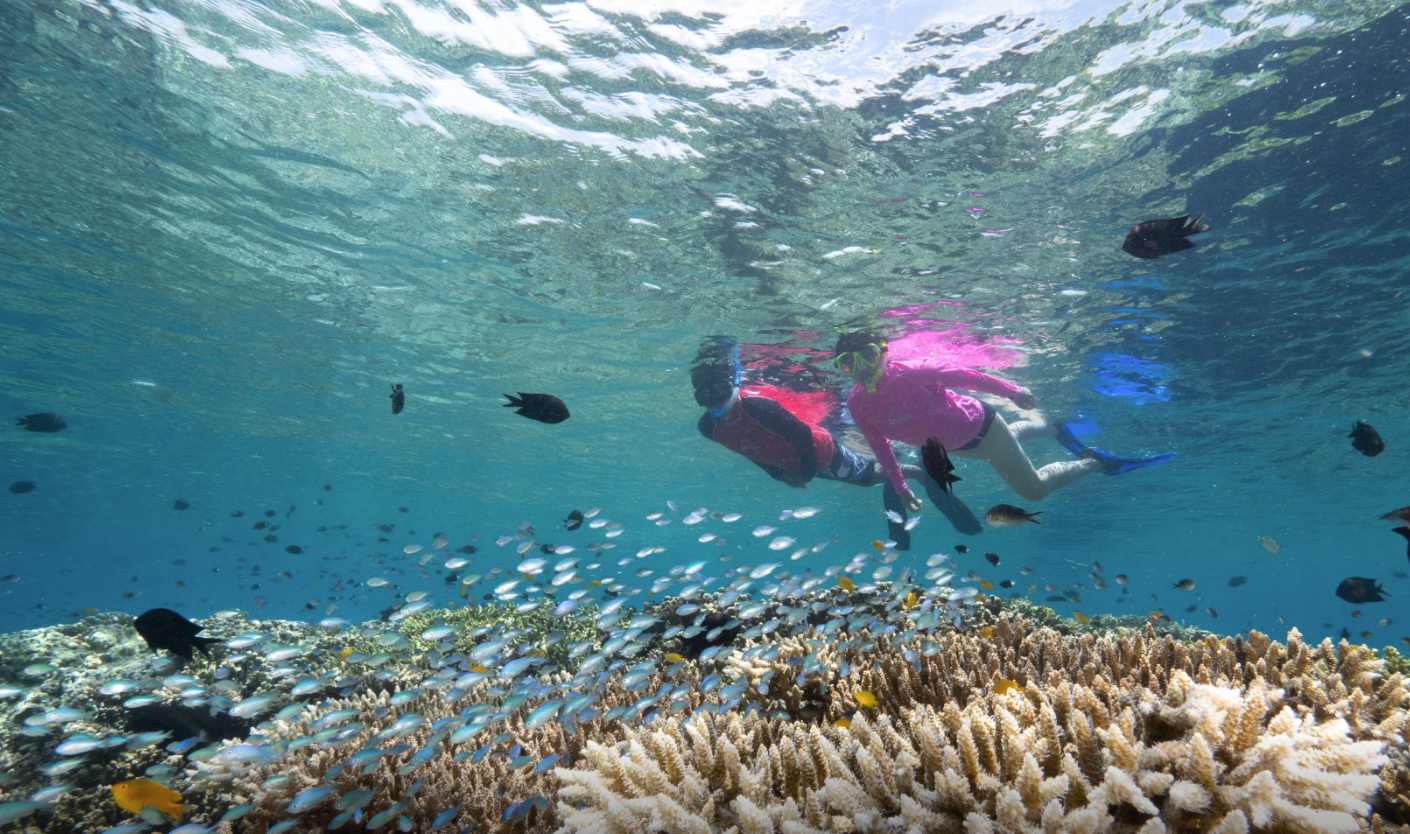 Snorkelling Adventure in North Sulawesi, Indonesia gallery 7