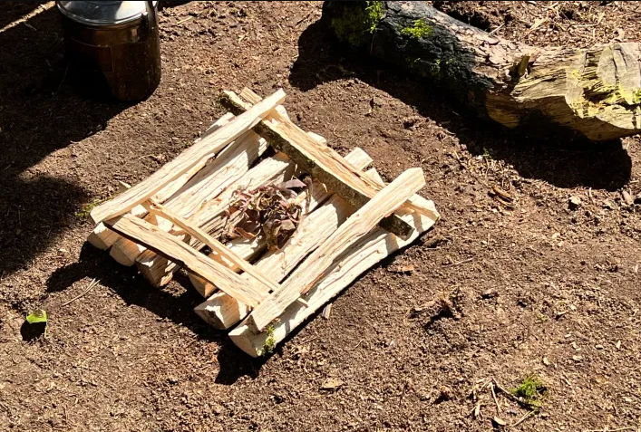 Half Day Bushcraft and Fire Craft Lesson in Dorset gallery 6