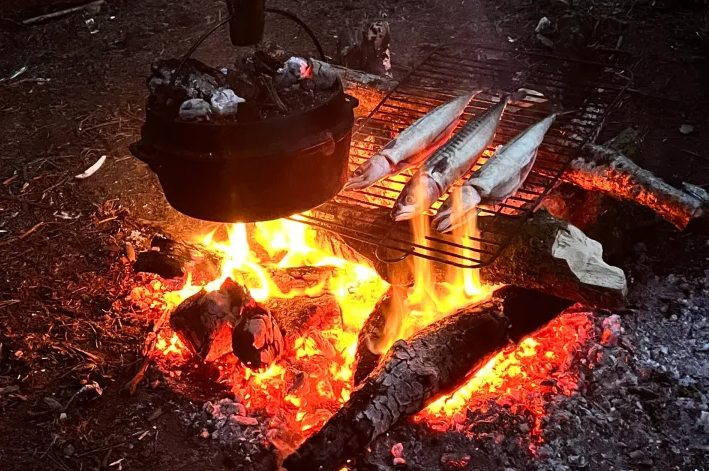 Half Day Bushcraft and Fire Craft Lesson in Dorset gallery 9