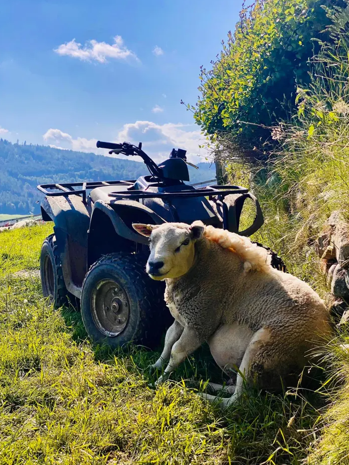Quad Biking Adventure in Perthshire, Scotland gallery 2