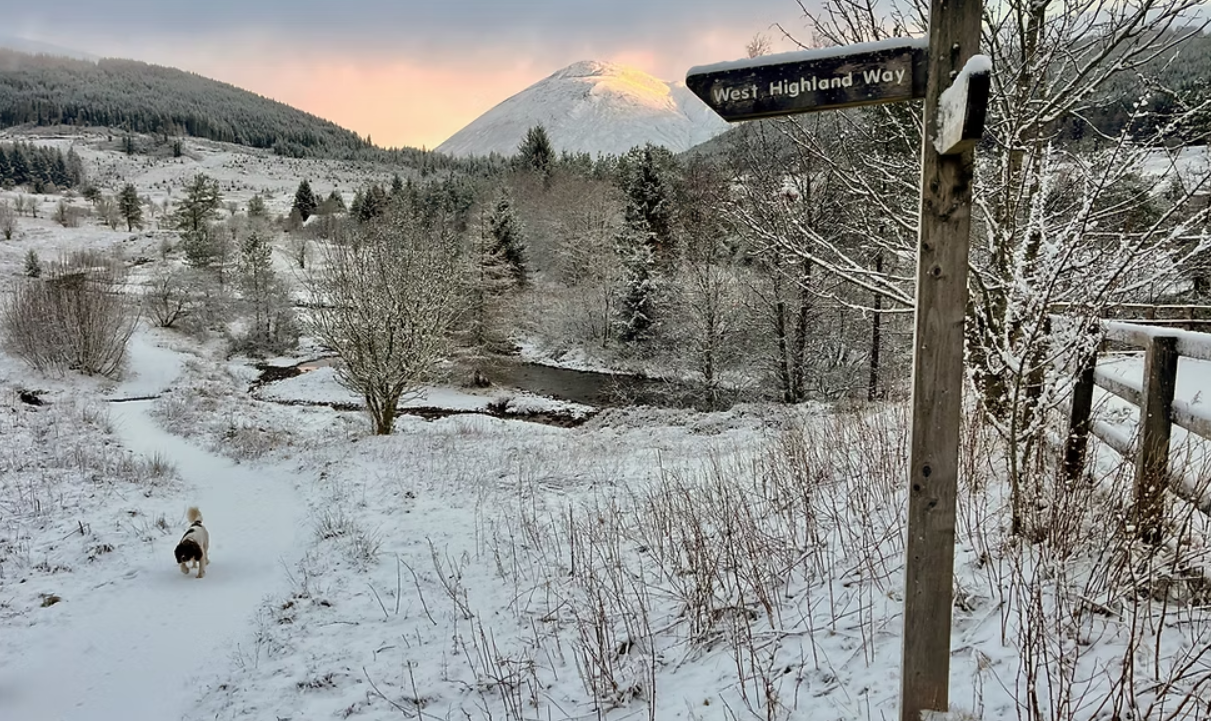 West Highland Way Winter Edition – 7 Days, 150km, Fully Guided gallery 4