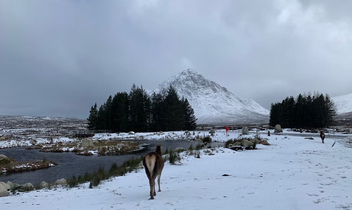West Highland Way Winter Edition – 7 Days, 150km, Fully Guided gallery 7