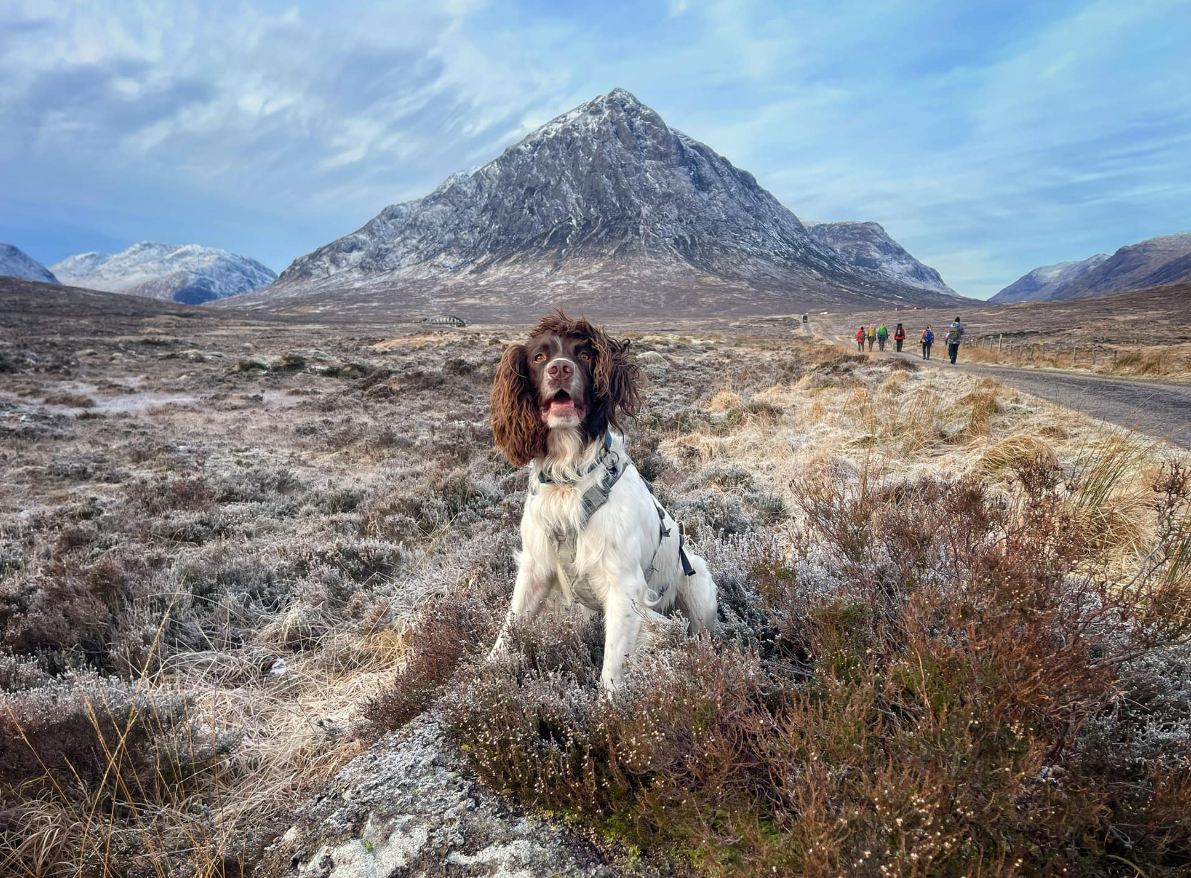 West Highland Way Winter Edition – 7 Days, 150km, Fully Guided gallery 8