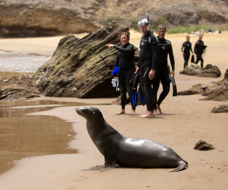 7-Night Galápagos Multisport Luxury Experience, photo 3