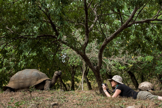 7-Night Galápagos Multisport Luxury Experience, photo 2