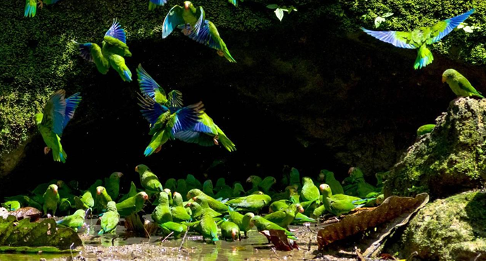 6-Night Waorani Tribe Kayak and Multisport Expedition in Ecuador gallery 3