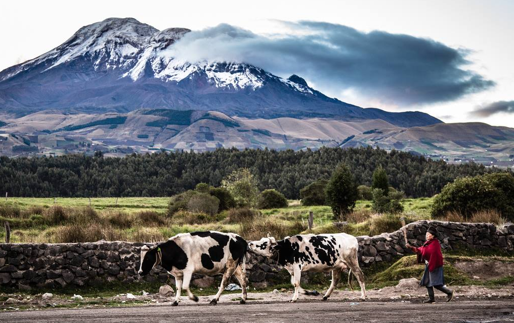 2-Day Ascent to Chimborazo Volcano in Ecuador gallery 6