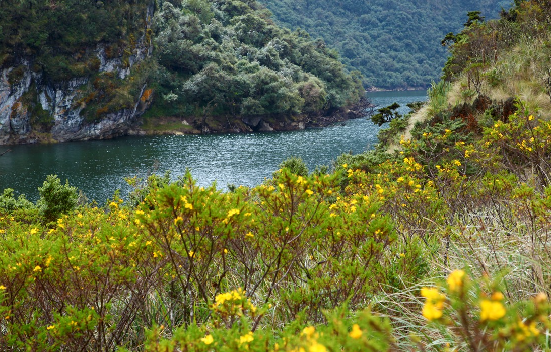 Cuicocha Lagoon Mindful Mountain Hike and Wellness Day gallery 3