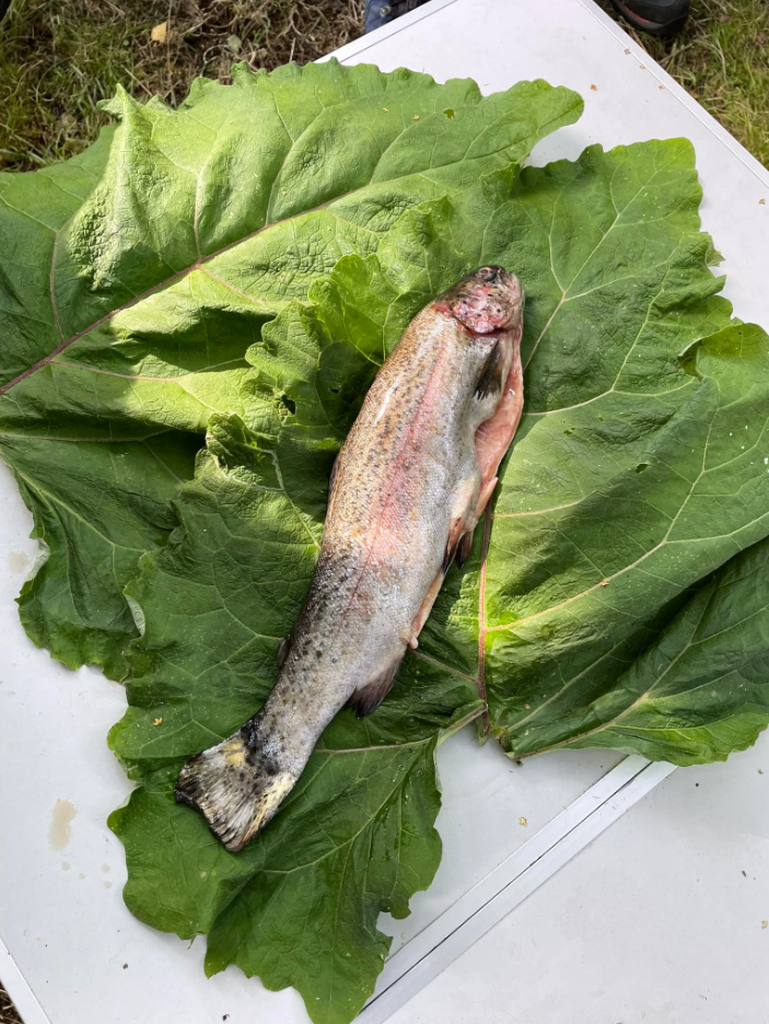Bushcraft and Campfire Cookery Lesson in Wrexham gallery 3