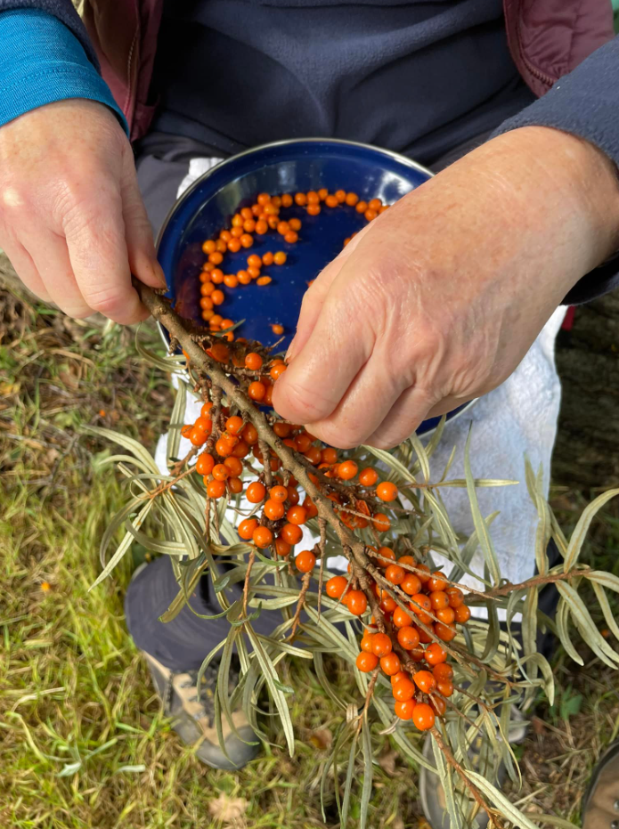 Bushcraft and Campfire Cookery Lesson in Wrexham gallery 4