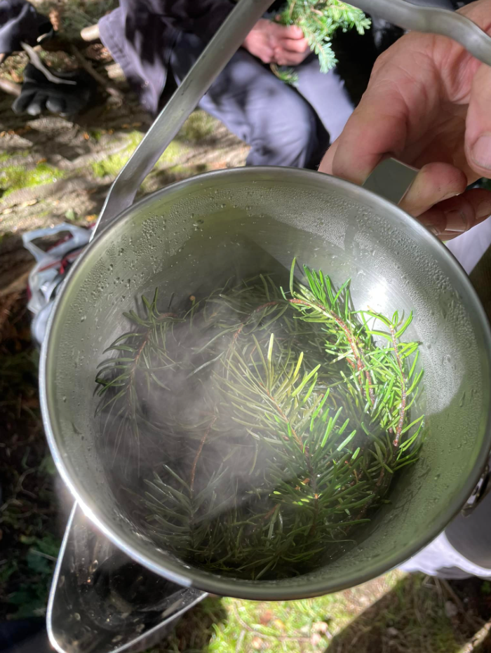 Wild Food, Foraging and Wilderness Cookery Lesson in Wrexham gallery 3