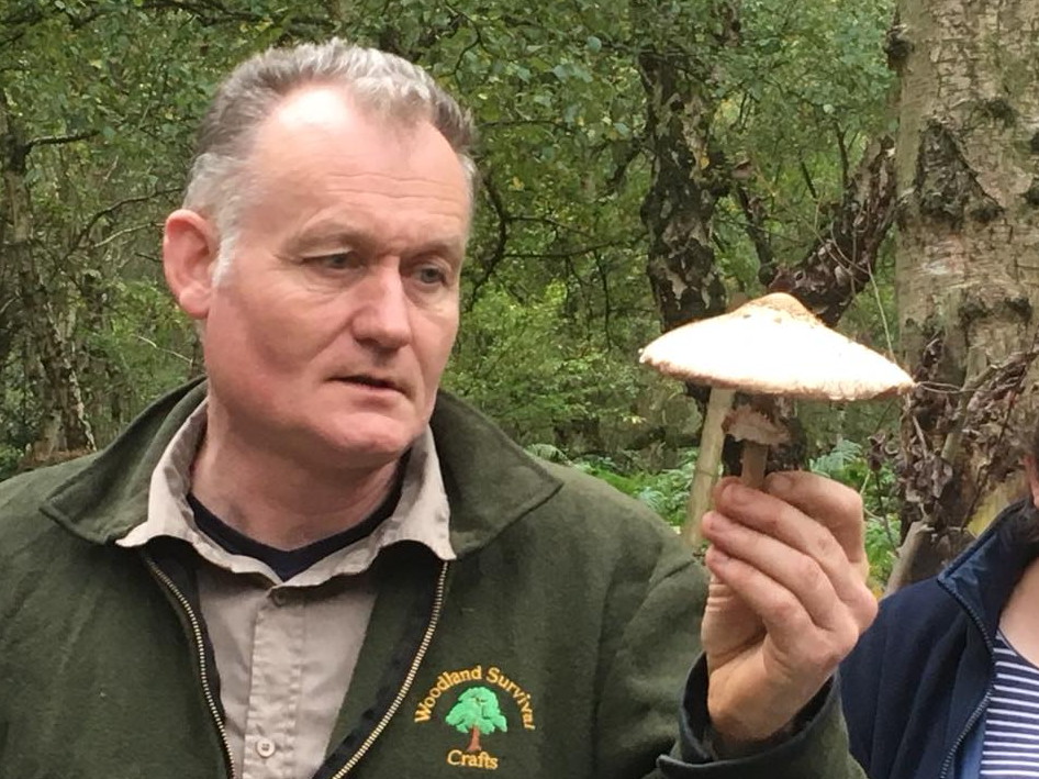 Autumn Foraging Walk at Chirk Castle in Wrexham gallery 2