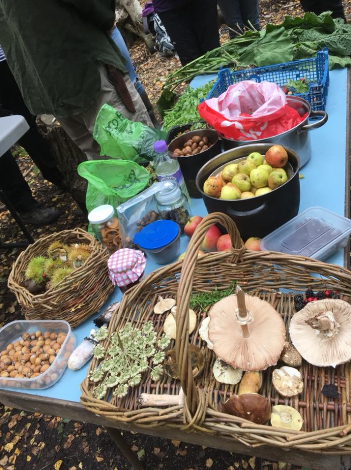 Autumn Foraging Walk at Chirk Castle in Wrexham gallery 3