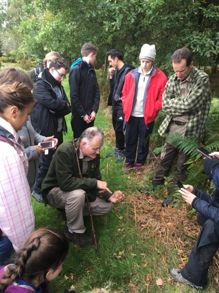 Autumn Foraging Walk at Chirk Castle in Wrexham, photo 2