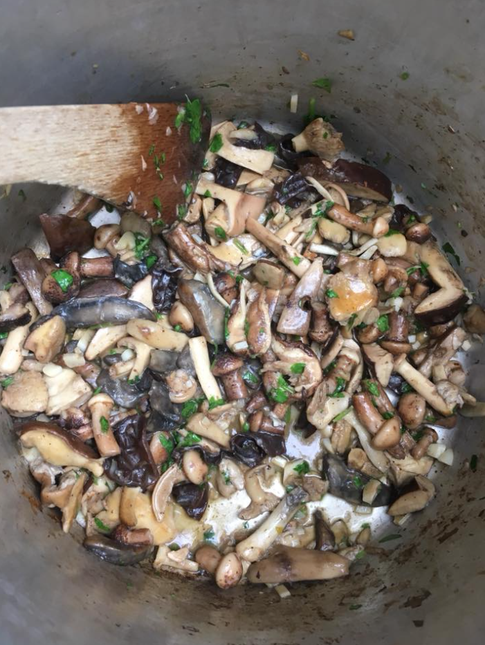 Wild Food, Foraging and Wilderness Cookery Lesson in Wrexham gallery 6