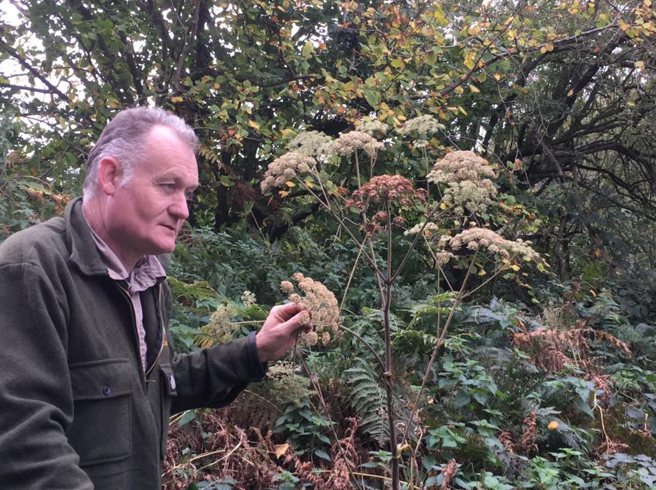 Autumn Foraging Walk at Chirk Castle in Wrexham, photo 3