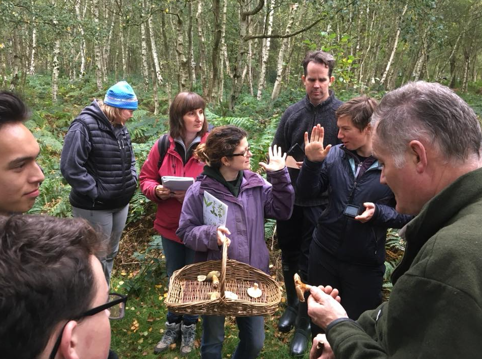 Autumn Foraging Walk at Chirk Castle in Wrexham, photo 4