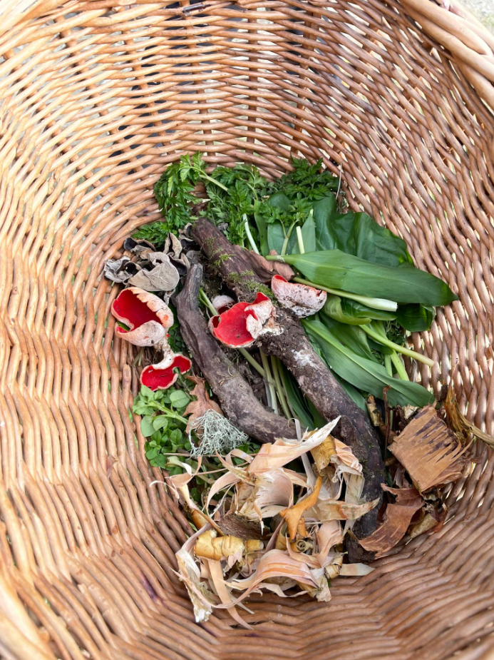 Wild Food, Foraging and Wilderness Cookery Lesson in Wrexham gallery 8
