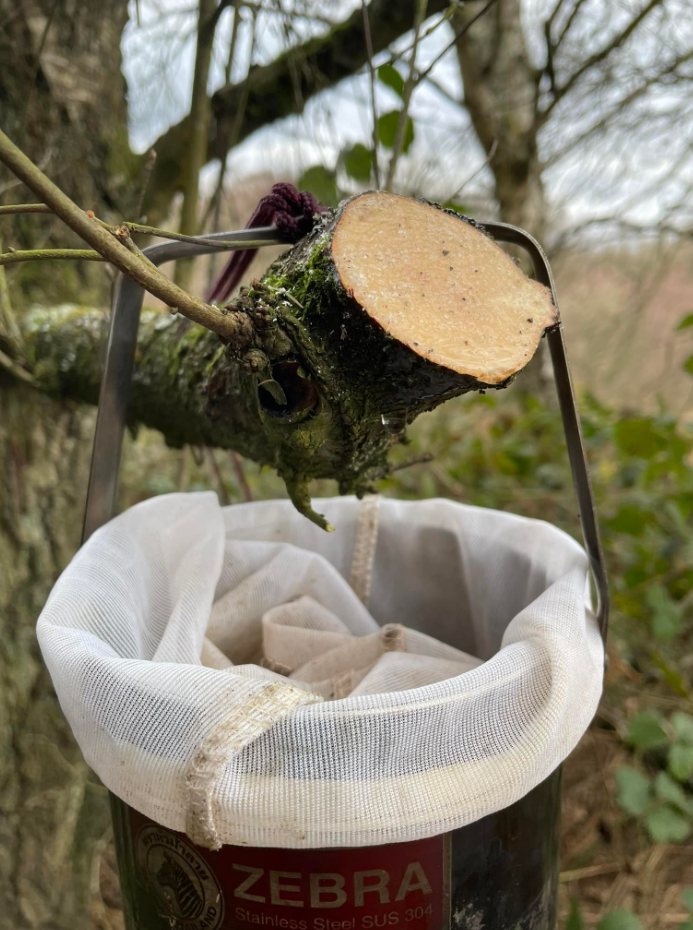 Wild Food, Foraging and Wilderness Cookery Lesson in Wrexham gallery 10