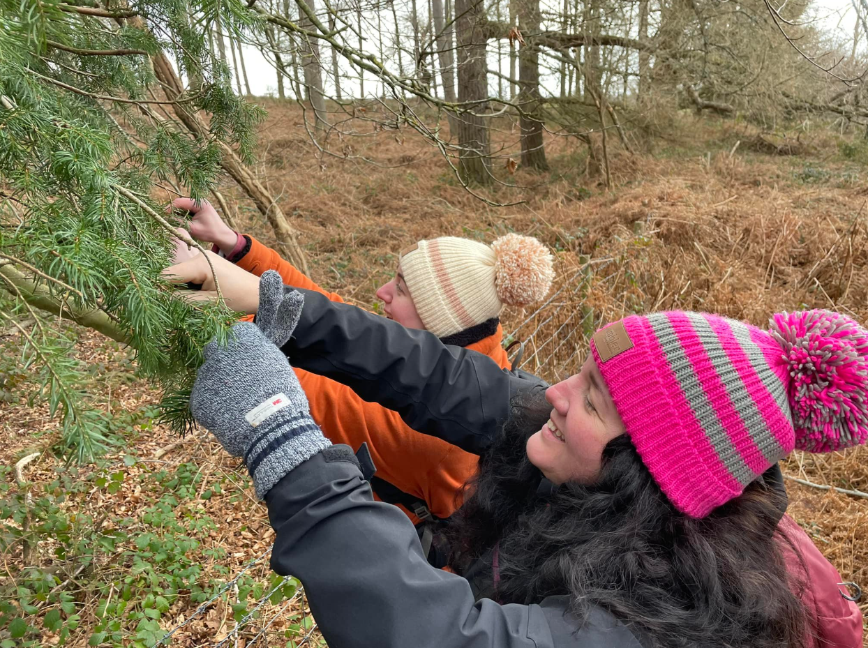 Wild Food, Foraging and Wilderness Cookery Lesson in Wrexham, photo 4