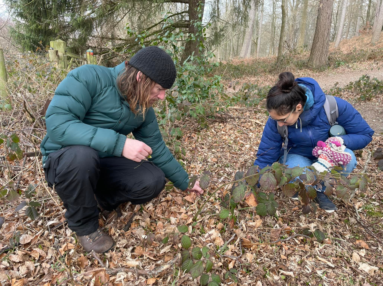 Wild Food, Foraging and Wilderness Cookery Lesson in Wrexham, photo 2