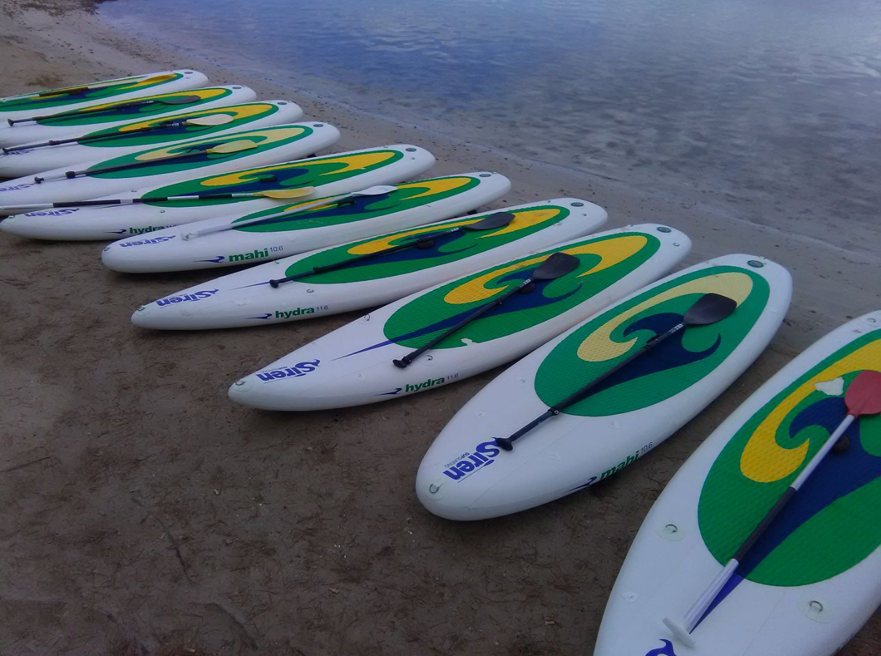 SUP Paddle Course in Puerto de Alcudia, Mallorca, photo 4