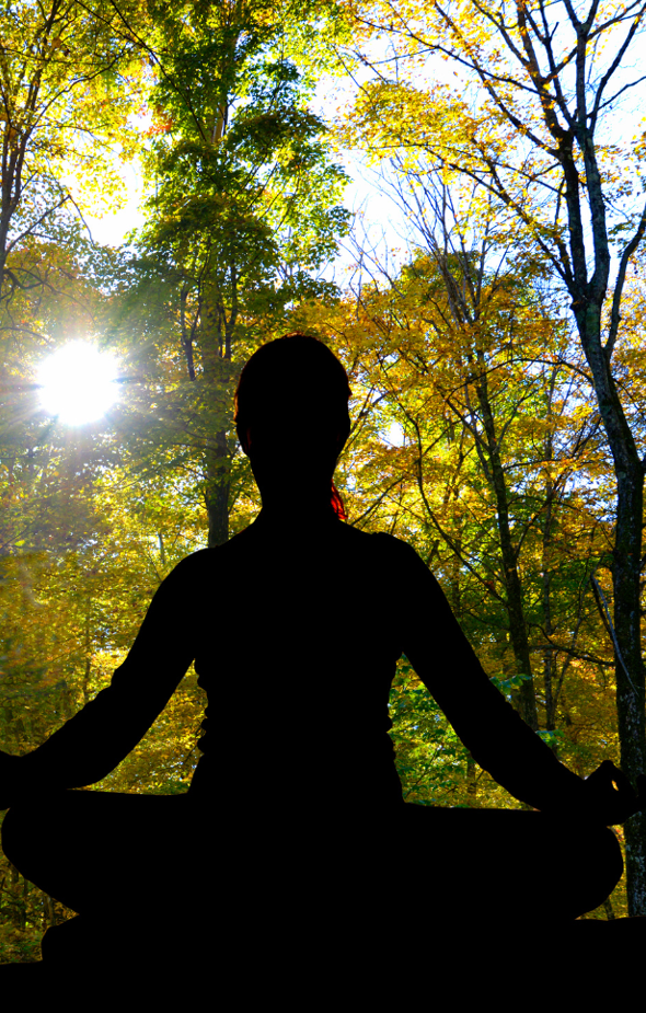 Adults-Only Woodland Sauna Day and Bushcraft Retreat in Wrexham, photo 3