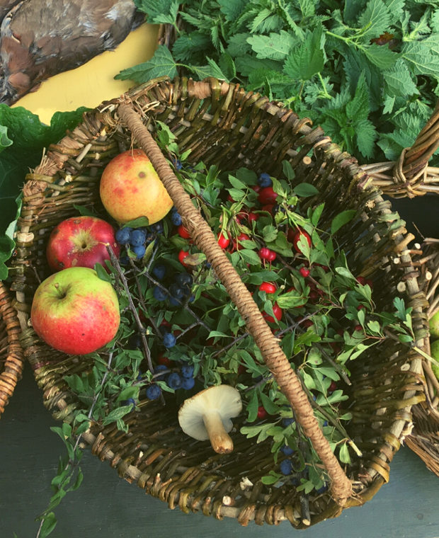 Autumn Foraging Walk at Chirk Castle in Wrexham gallery 9