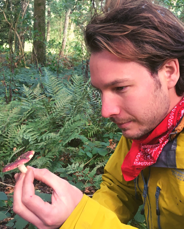 Autumn Foraging Walk at Chirk Castle in Wrexham gallery 10