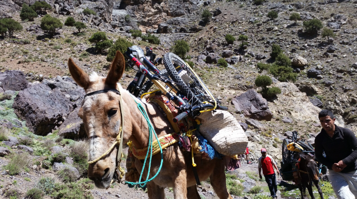 Imlil Enduro Day Bike Tour in Morocco, photo 4