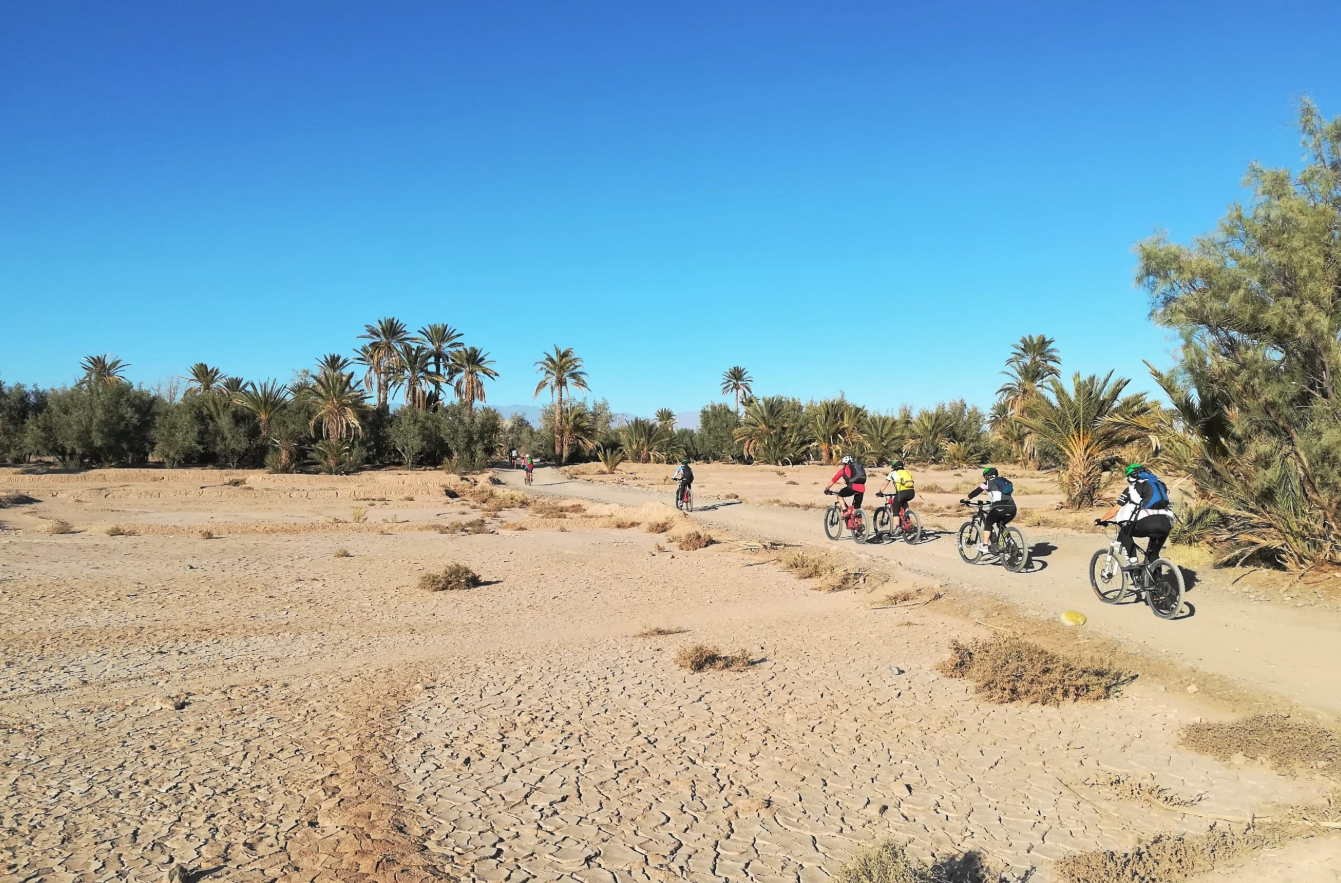 7-Night South Morocco E-Bike Tour, photo 4