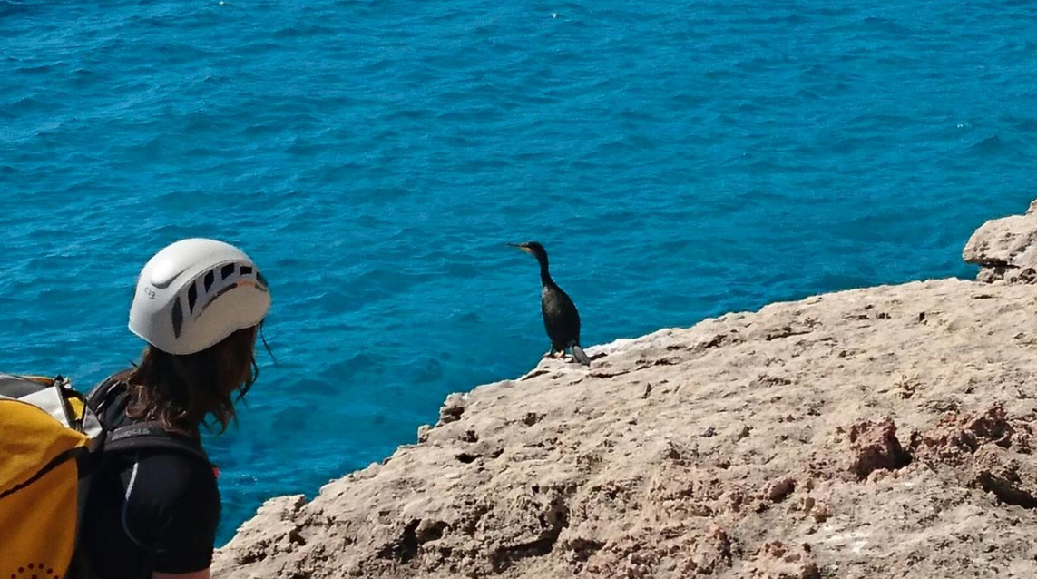 Mallorca East Coast Coasteering – Climb, Swim & Zip in Cala Provençals, photo 5