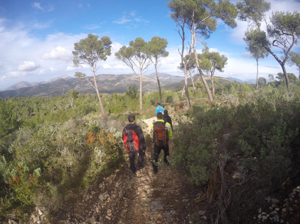 Adventure Trekking – Explore Mallorca Beyond the Trails, photo 3