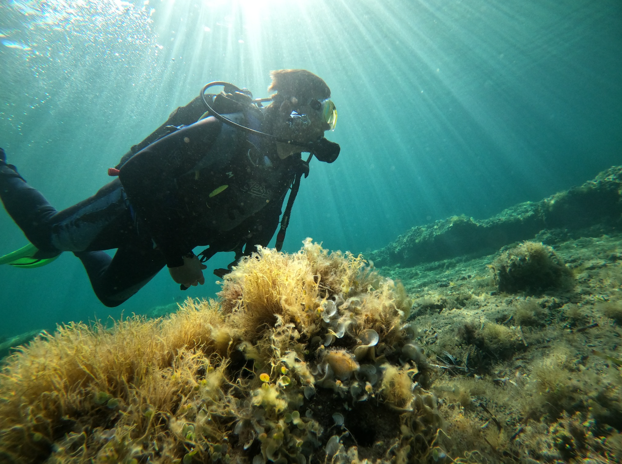 PADI Advanced Open Water Diver Course in Porto Petro, Mallorca, photo 2