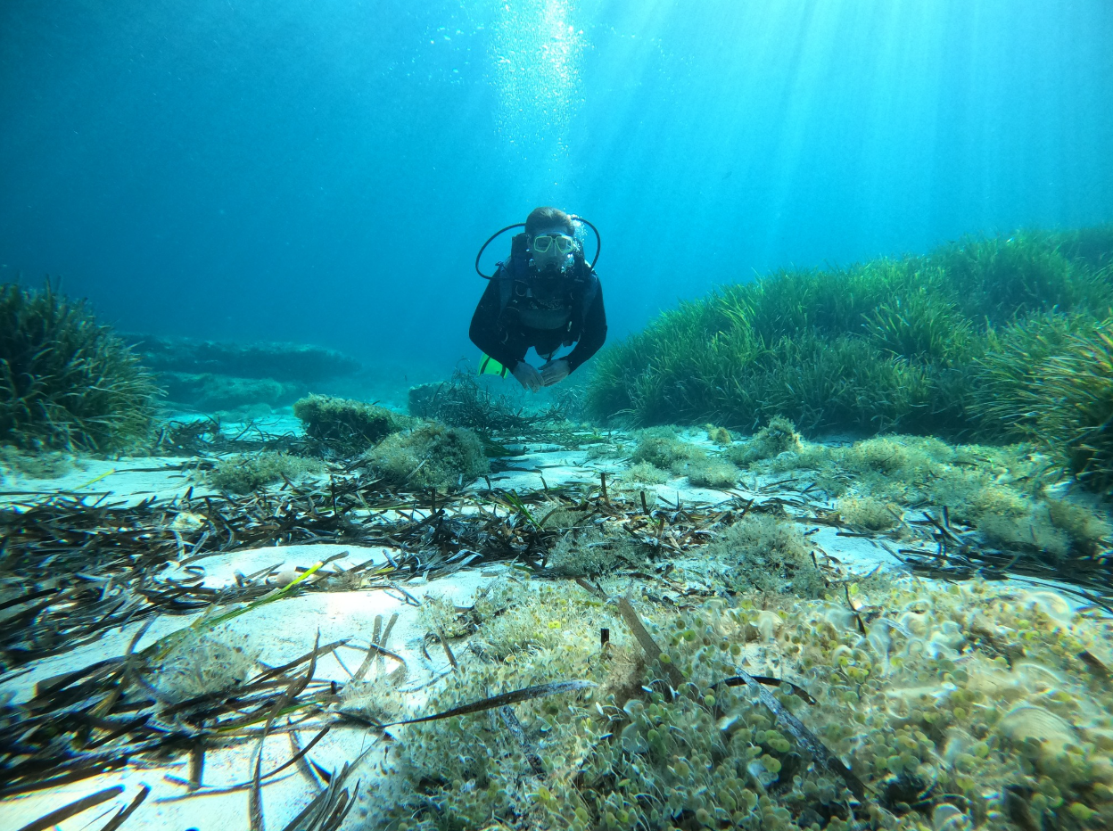 PADI Scuba Diver Course in Porto Petro, Mallorca gallery 5